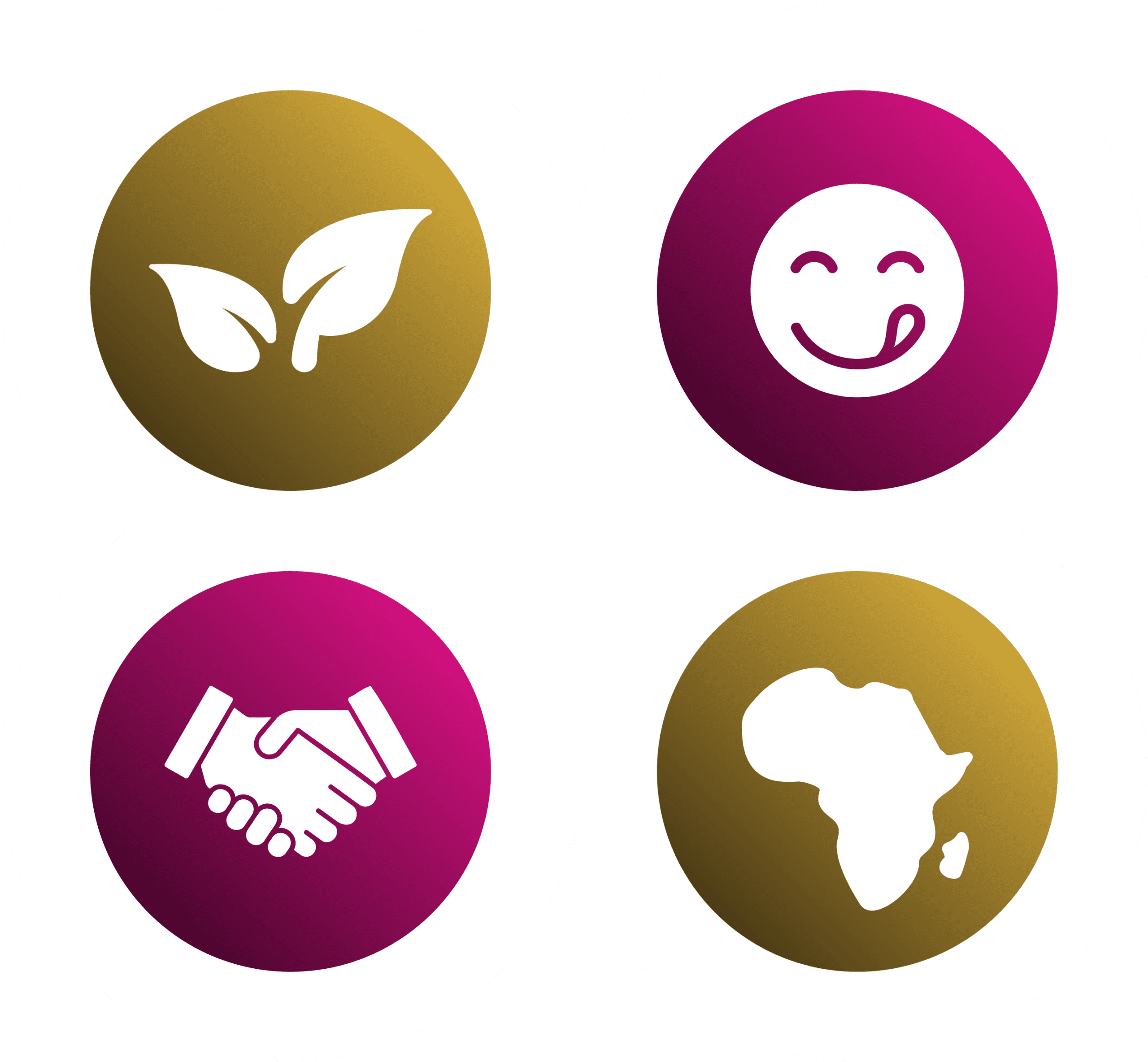 Valeurs KÙMI : naturel, plaisir, producteurs et Afrique